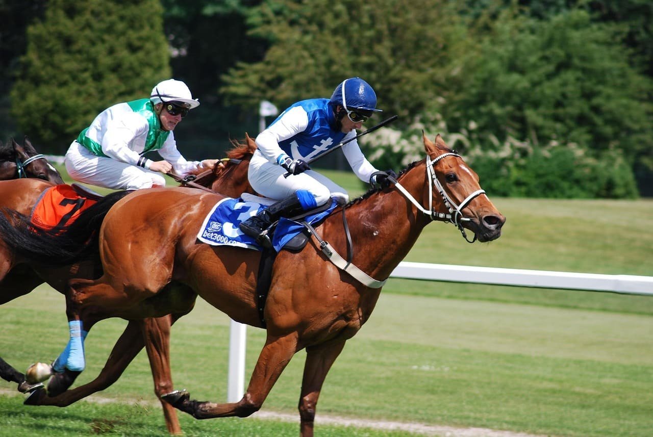 Prix de l'Arc de Triomphe - Paris (Longchamp Racecourse)