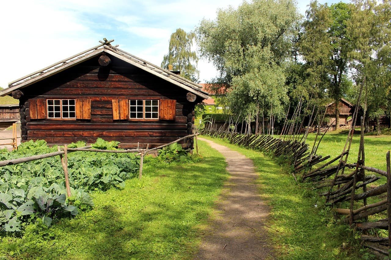 Bespoke Cultural Tours – Oslo Museums, Opera, and more
