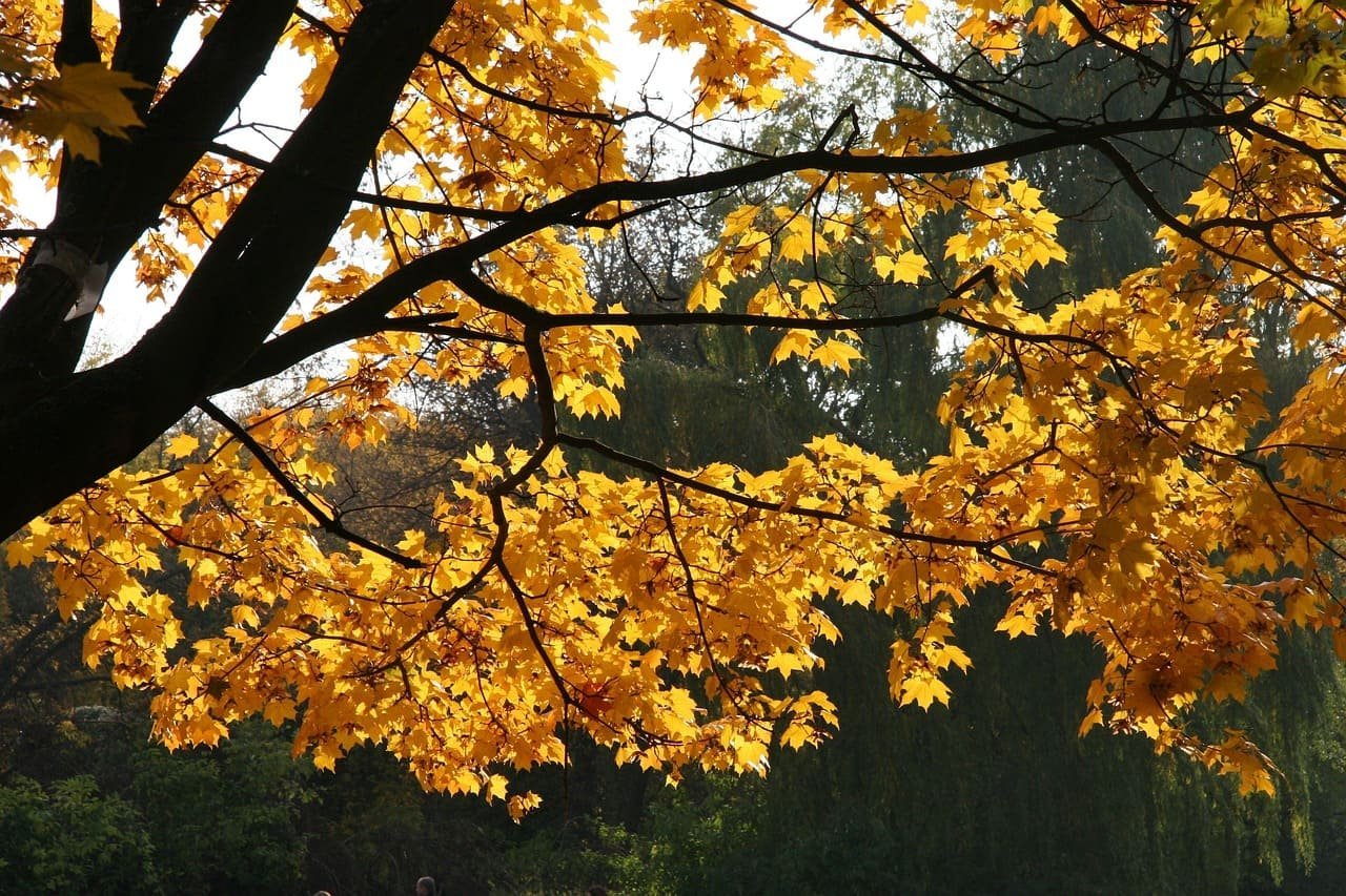 Warsaw Autumn Festival – Warsaw