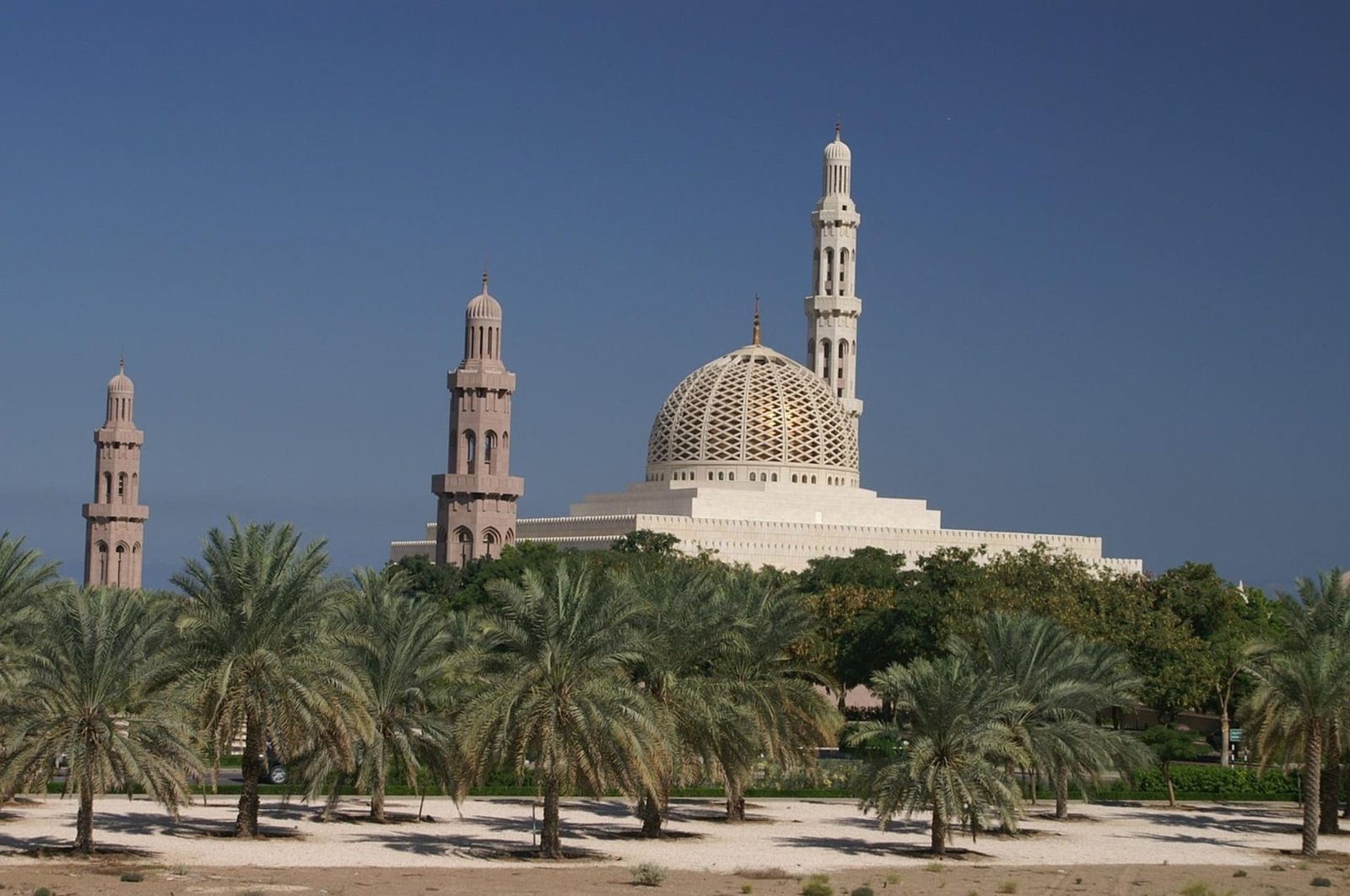 Muscat