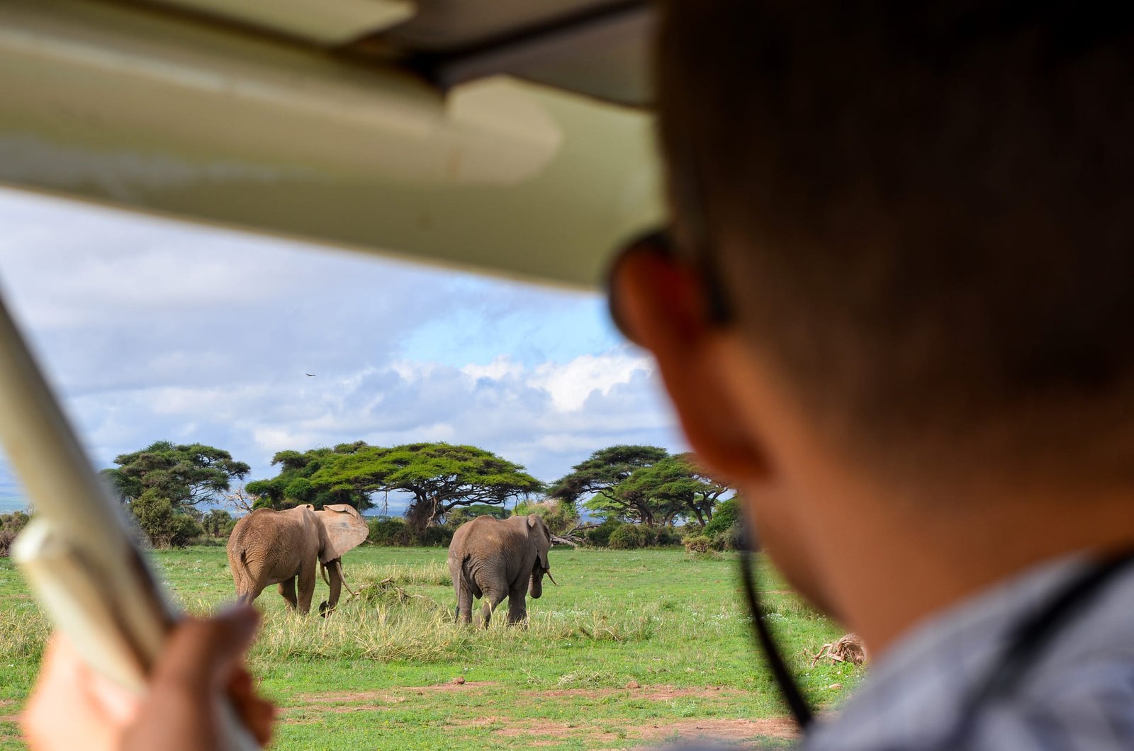 Nature & Wildlife Experiences