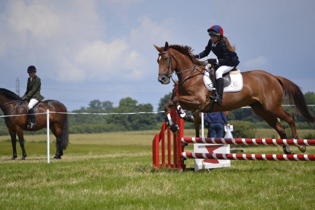 Royal Windsor Horse Show Chauffeur Service