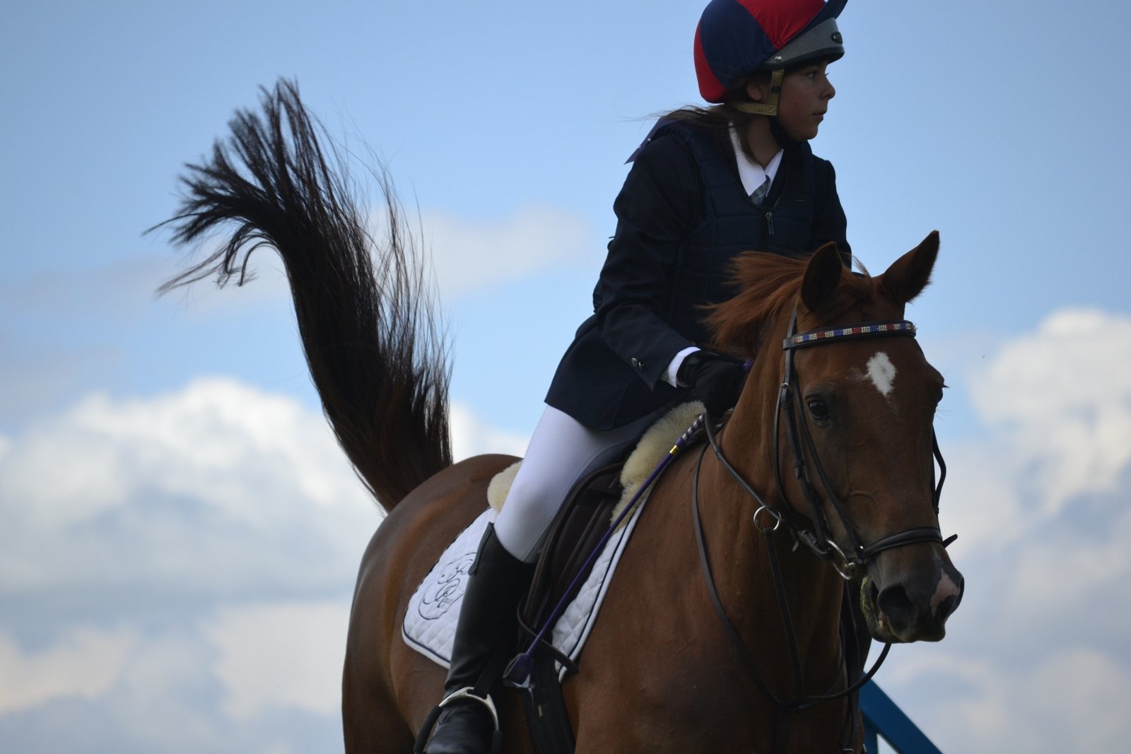Royal Windsor horse racing event